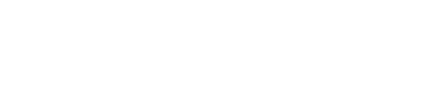 softnue webiste development company