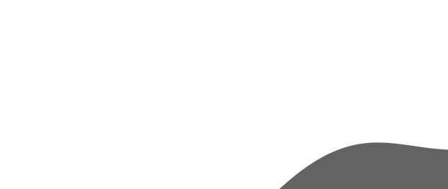 softnue webiste development company